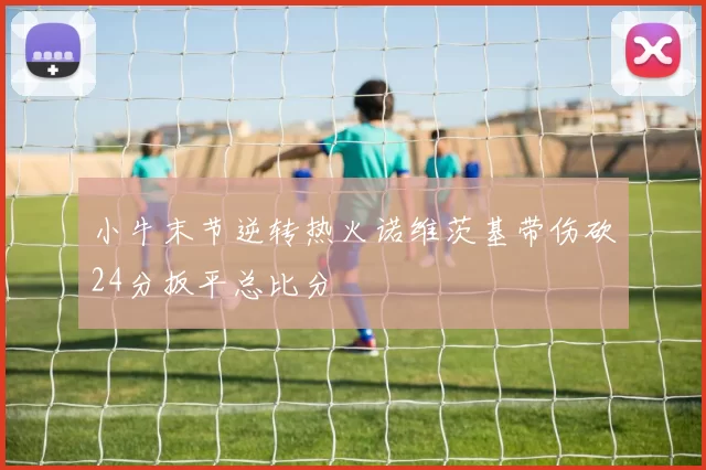 小牛末节逆转热火诺维茨基带伤砍24分扳平总比分