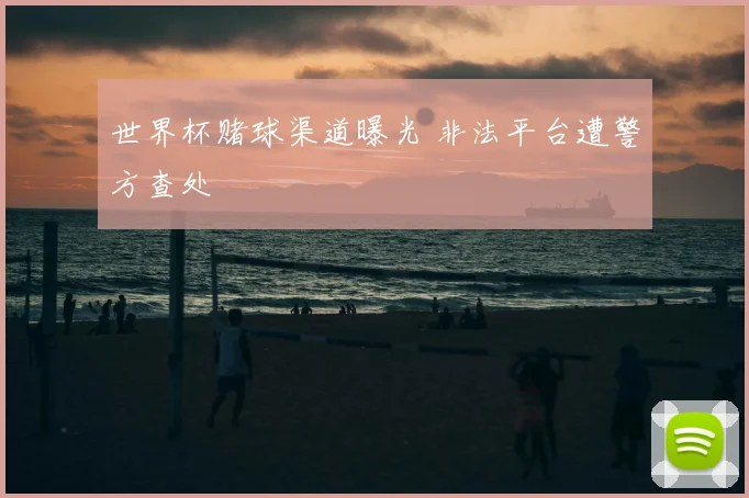 世界杯赌球渠道曝光 非法平台遭警方查处